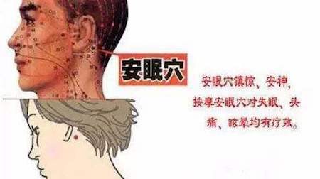 困困狗带闺蜜 安心的狗带闺蜜“困困狗”