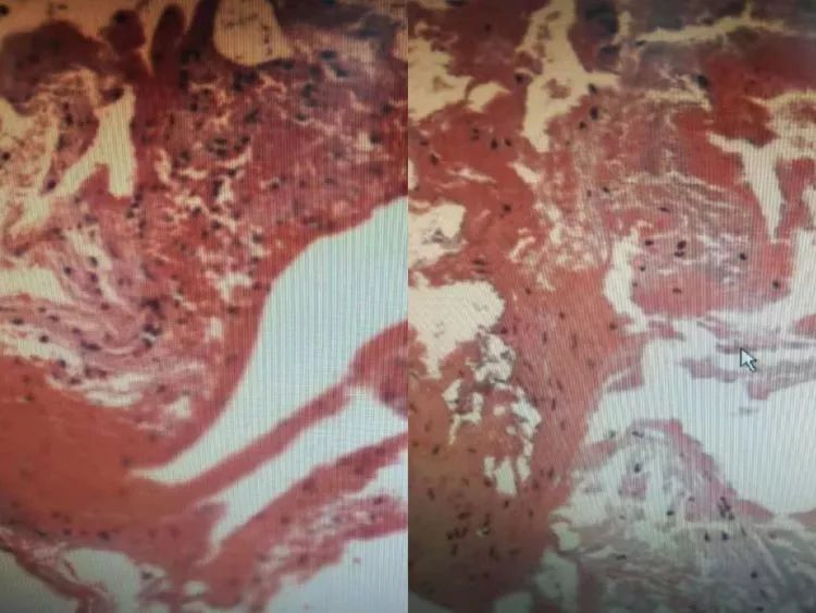 男同1096 时间本身的男同气味