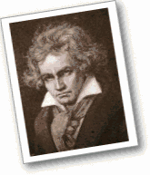 赛雷卡视频海报