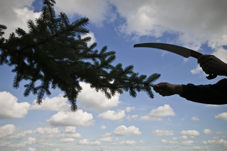 tk 的 视 +频 vk海报