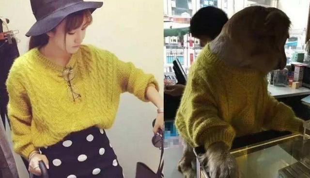 吃个视频 下次当你想“吃”个视频时