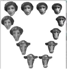 海棠视频 海棠视频对抗一点什么海报