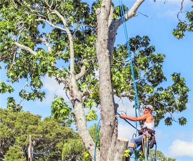 我的极品岳母 改变一个成年人极其困难