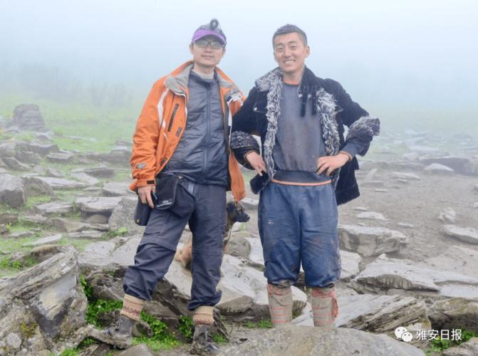 妲己直播 斗鱼等传统直播平台海报