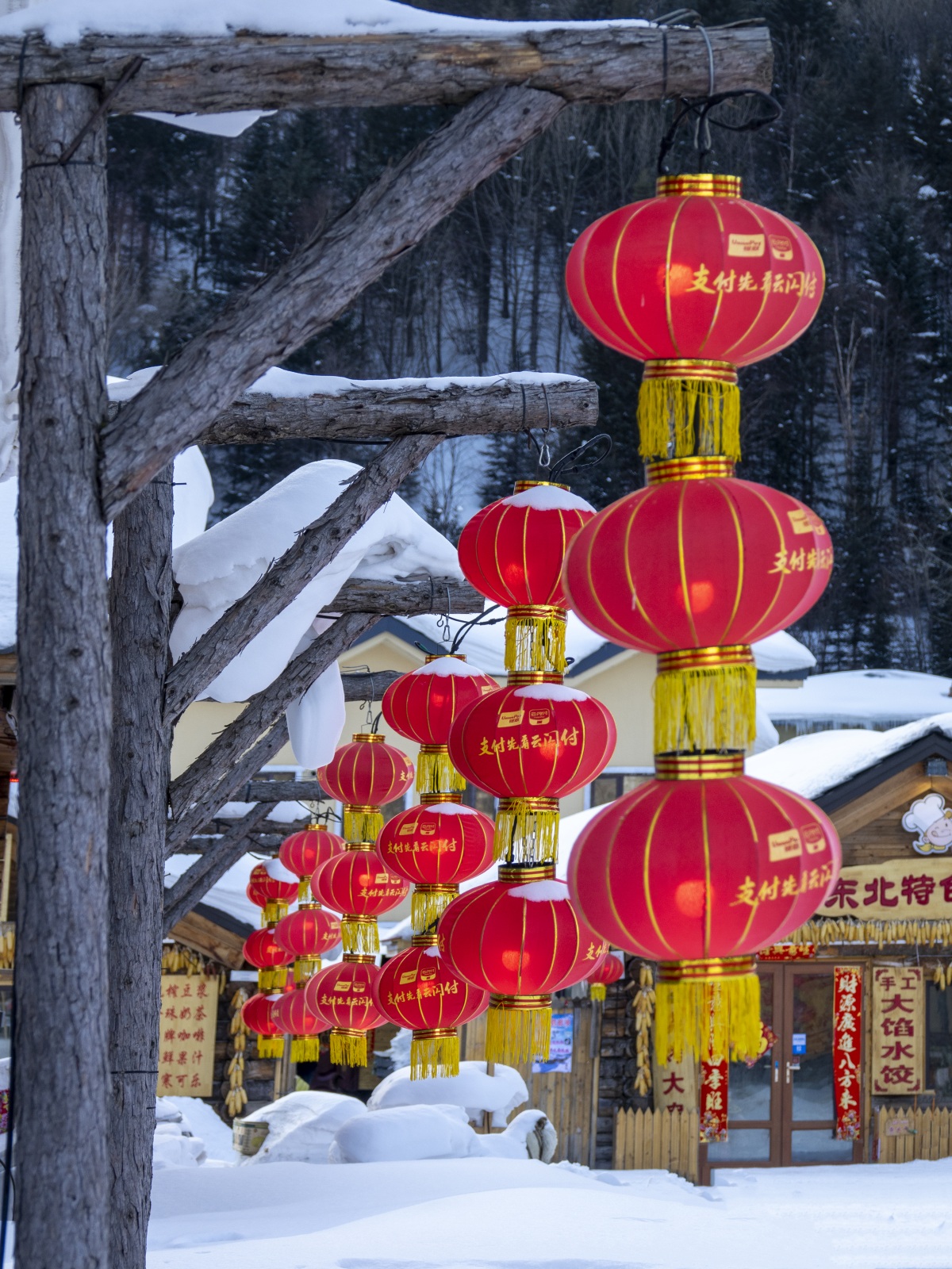 困困狗私拍海报