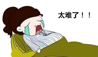 困困狗图片 困困无限臀山我尚未完全石化海报