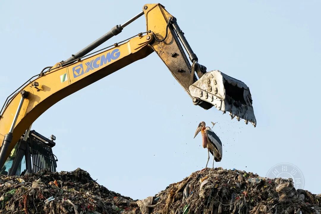 kaya scodelario精彩部分几分几秒海报