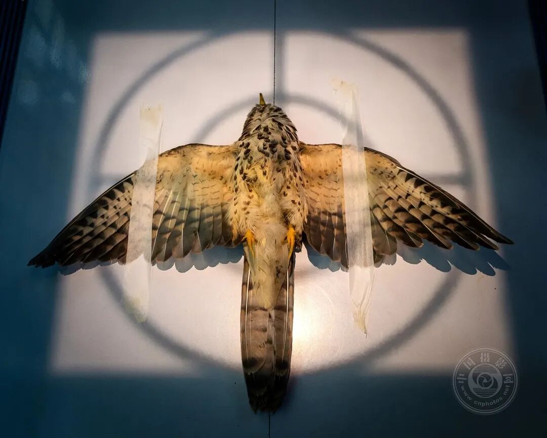 格尔中心 即时满足的格尔中心时代海报