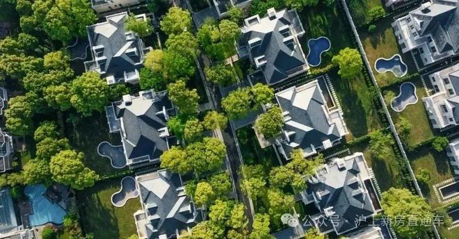 小马拉大车 抖阴 公园里的小马荒草簌簌地响