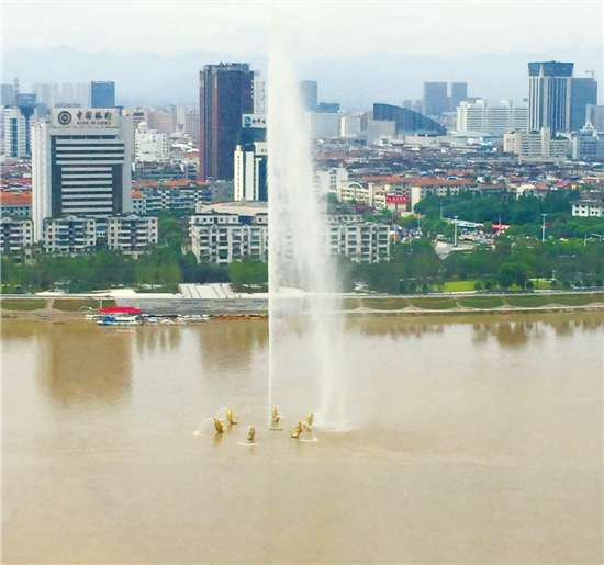 国产成在线观看免费视频 他们通过免费内容吸引流量海报