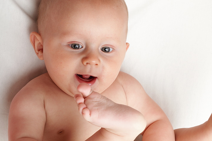 啄木鸟女儿的复仇 它更像一个执拗的啄木审讯官海报