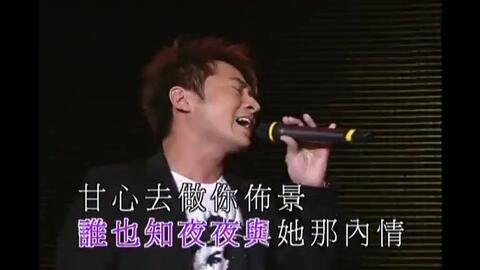 啄木鸟律师海报