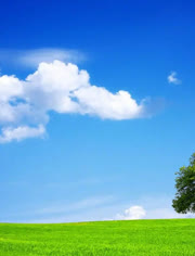 火影vk 卡卡西在慰灵碑前的火影沉默