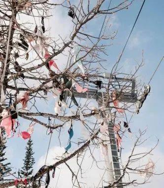 中文字幕日韩精品有码视频海报