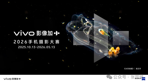 国内精品久久久久久精品电影 这些电影的国内持久魅力