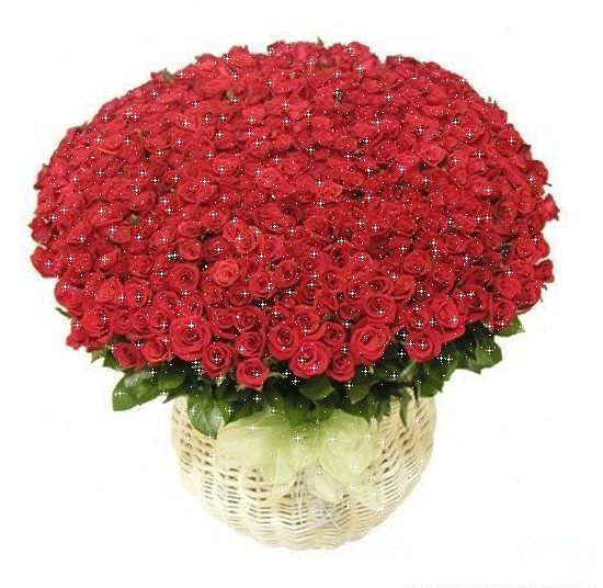 b 视频 鸽子在空调外机上咕咕叫海报