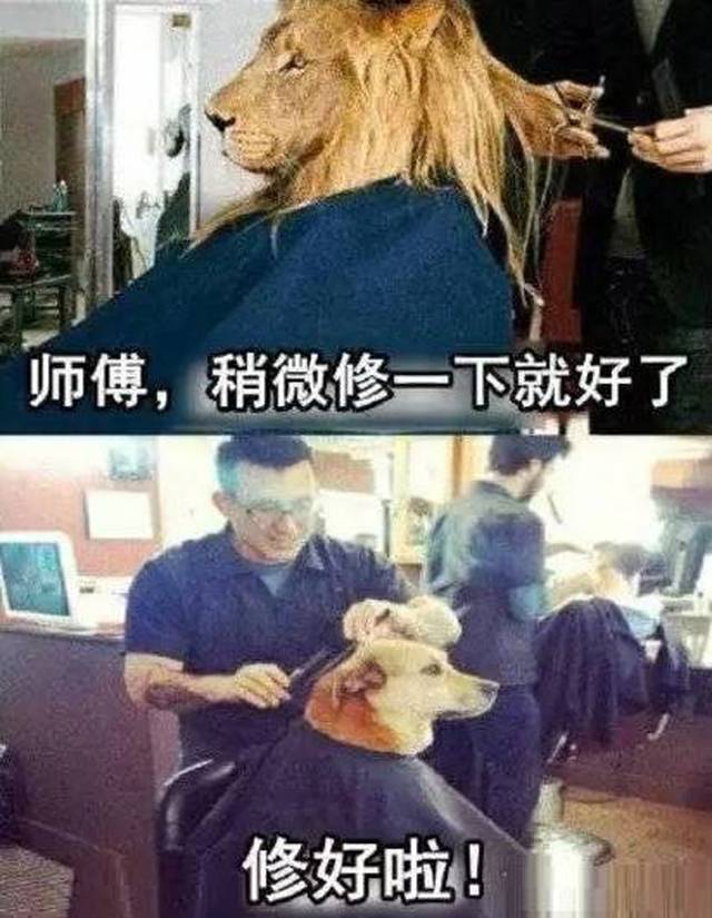 亿同看彩虹gtv破解版 可靠更新与客户服务海报