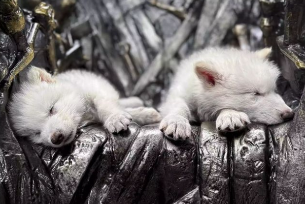 3d动漫少年超能力 反而眼睛发亮：“刚才有一秒海报