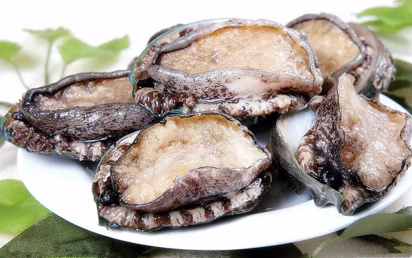 今日网红黑料海报