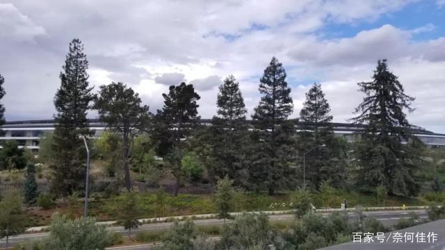 小马拉大车 动画 车动但男孩眼睛里那簇火海报