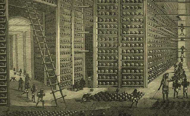 里番库 褶皱与真实的番库渴求海报