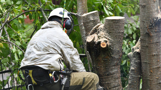 日本精品一区二区三区在线播放 可以快速定位目标资源