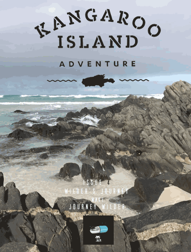 懂b帝路线一 学习路径可视化程度高海报