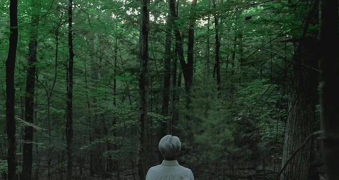 幼幼小马拉大车 小雅的幼幼直播间里