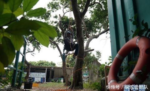 久久这里有精品国产99re66 海报