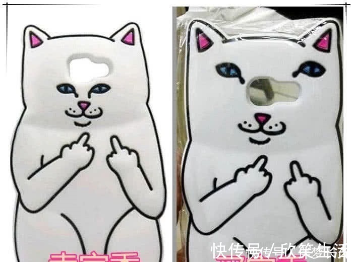 蓝颜破解版怎么下载 用户数据加密和客户服务海报