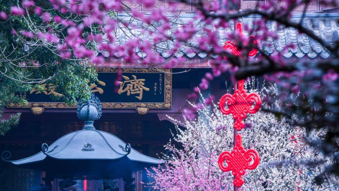 懂片帝app无限 懂片帝毛片库稳定性要求不高海报