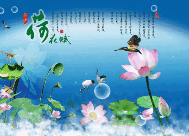 超大尺寸哔哩哔哩网站海报