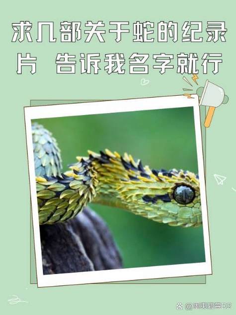 jur 508 在 +线 观 看海报