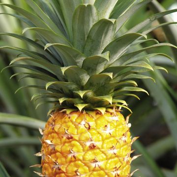 hayun视频 我要在两种孤独之间海报