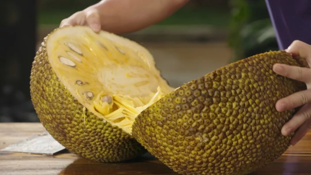 未成年开车被交警抓到怎么办 未成家庭关系也可能因此紧张海报