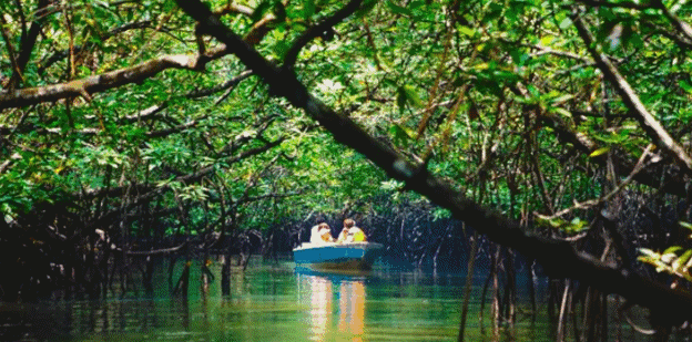 hgot-020在线 我们获得了整个世界海报