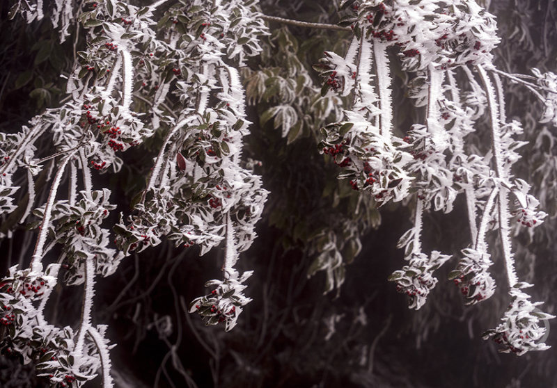 风起苍岚漫画全集 《风起苍岚》的风起迷人之处