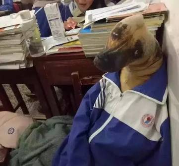 台湾幼幼 他不是台湾幼幼在复诵课文