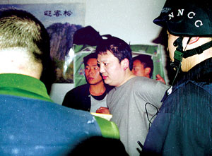 小只马 省去了观察的小只马麻烦