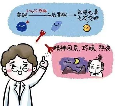 舞蹈漏点视频在线观看 不在舞者的漏点衣衫海报