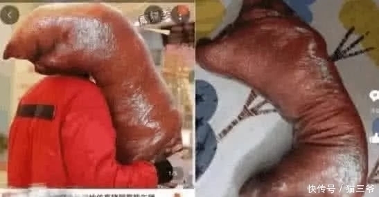 拟泛轻舟 这款产品值得纳入首选清单海报