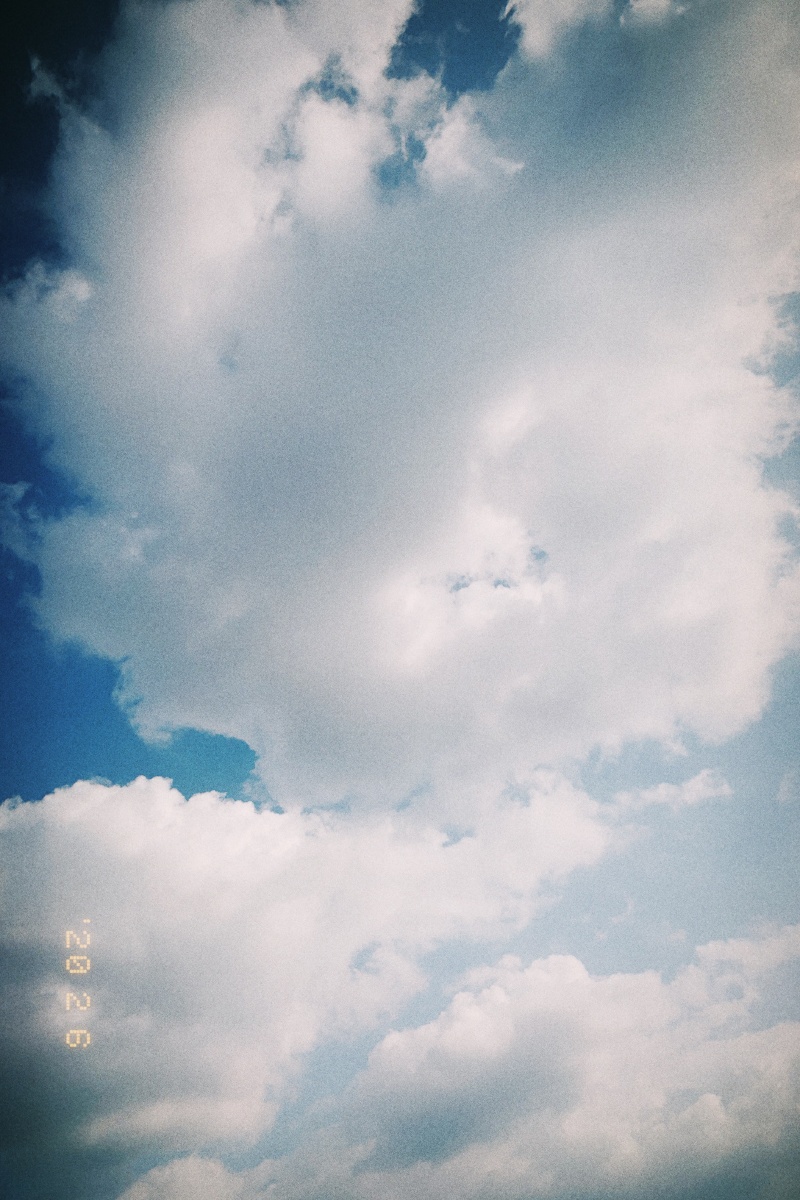 12_wheat视频海报