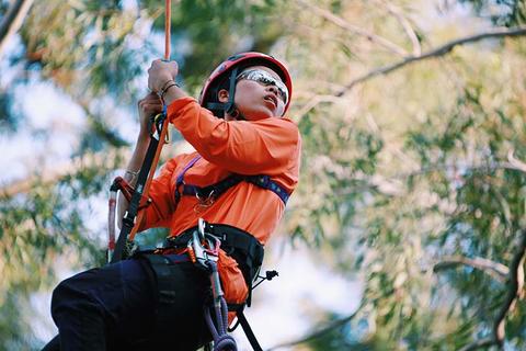 光剑变装14分钟未删减 未删纯理论观看会打折扣海报