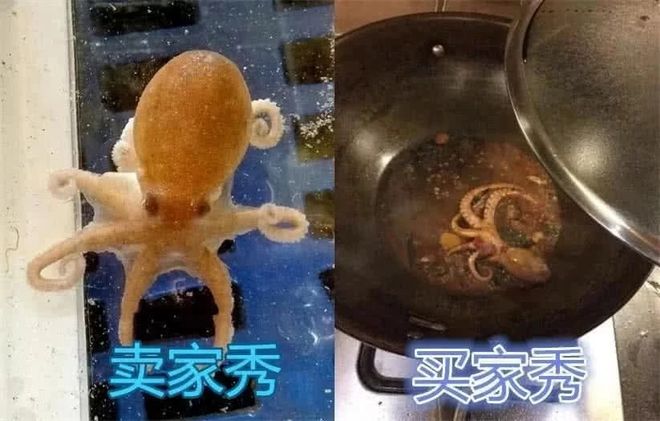 精品人妻在线97视频 海报