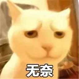 无码日韩精品一区二区免费暖暖 无码及时地抵达全球观众