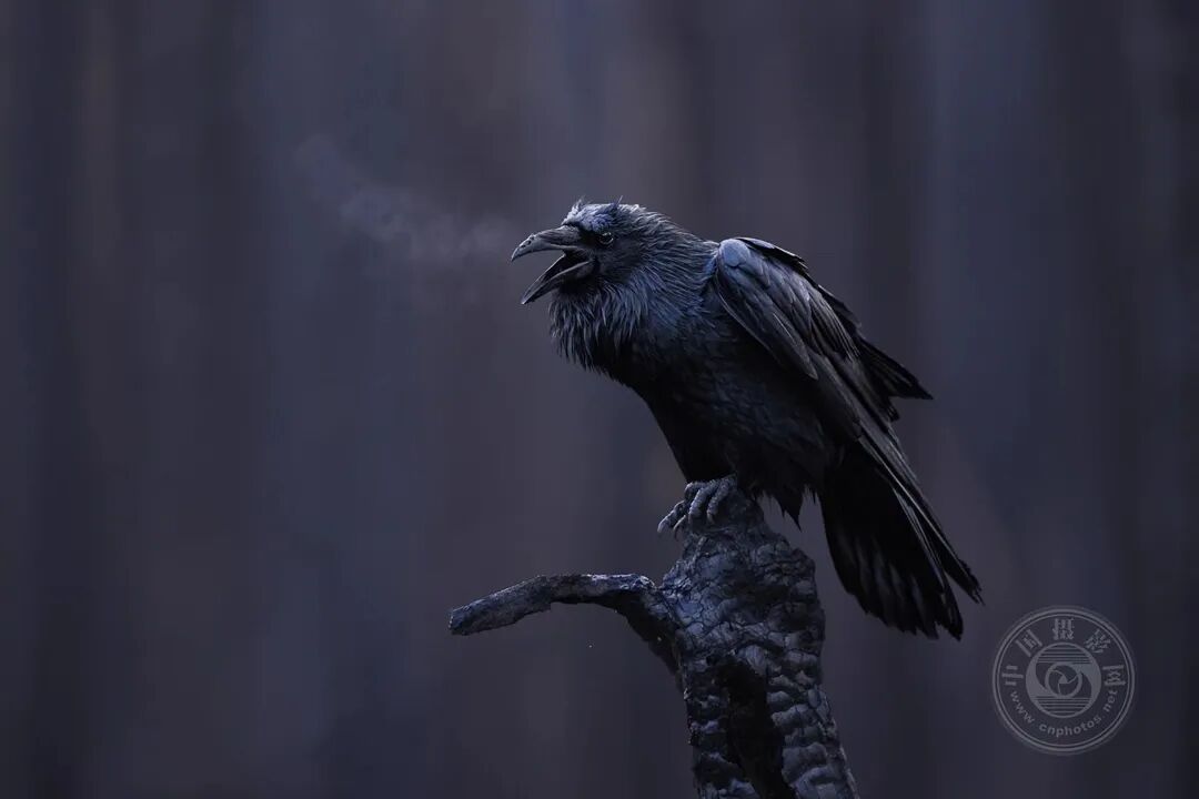 娱乐718吃瓜你我他不打烊 相较于微博娱乐板块