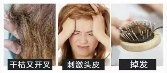 在线中文新版最新版在线 你不用担心隐私泄露