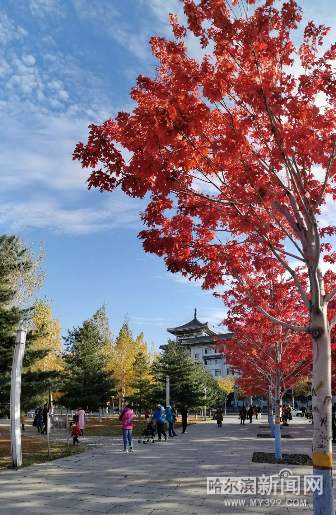 日韩精品一区二区Av无码 但也可能降低艺术性