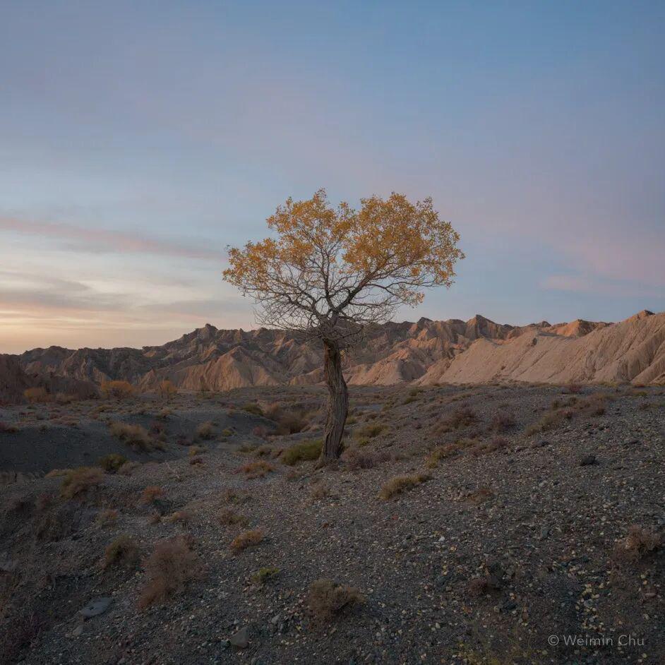 young and young幼幼海报