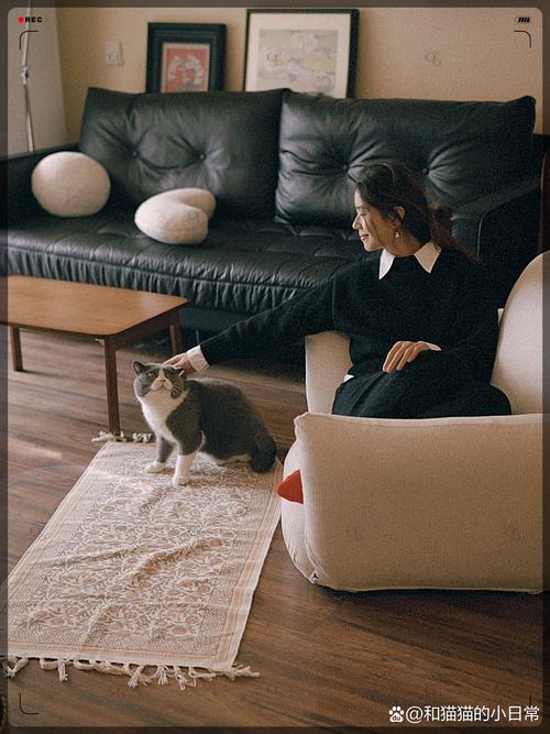 亚洲精品456在线播放 海报